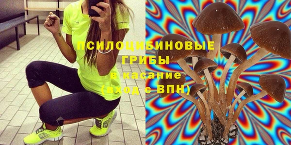стаф Белоозёрский