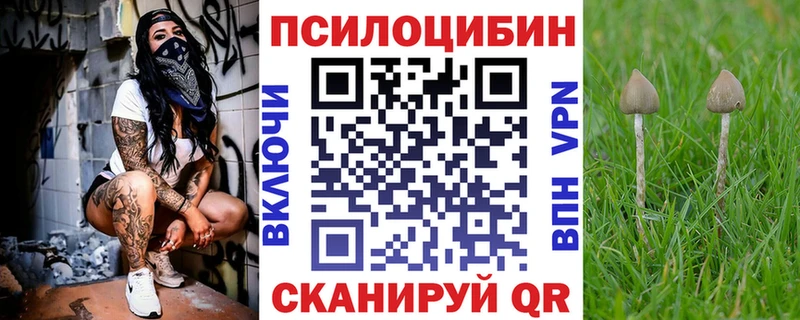 Псилоцибиновые грибы Magic Shrooms  даркнет сайт  Высоковск 